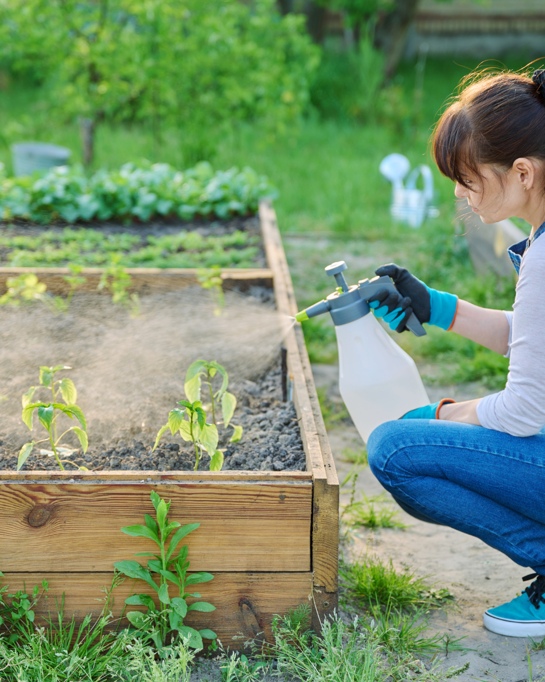 Protección al Cultivo