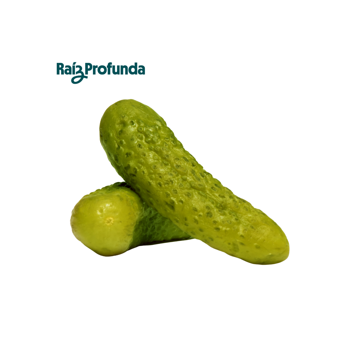 Pepinillo