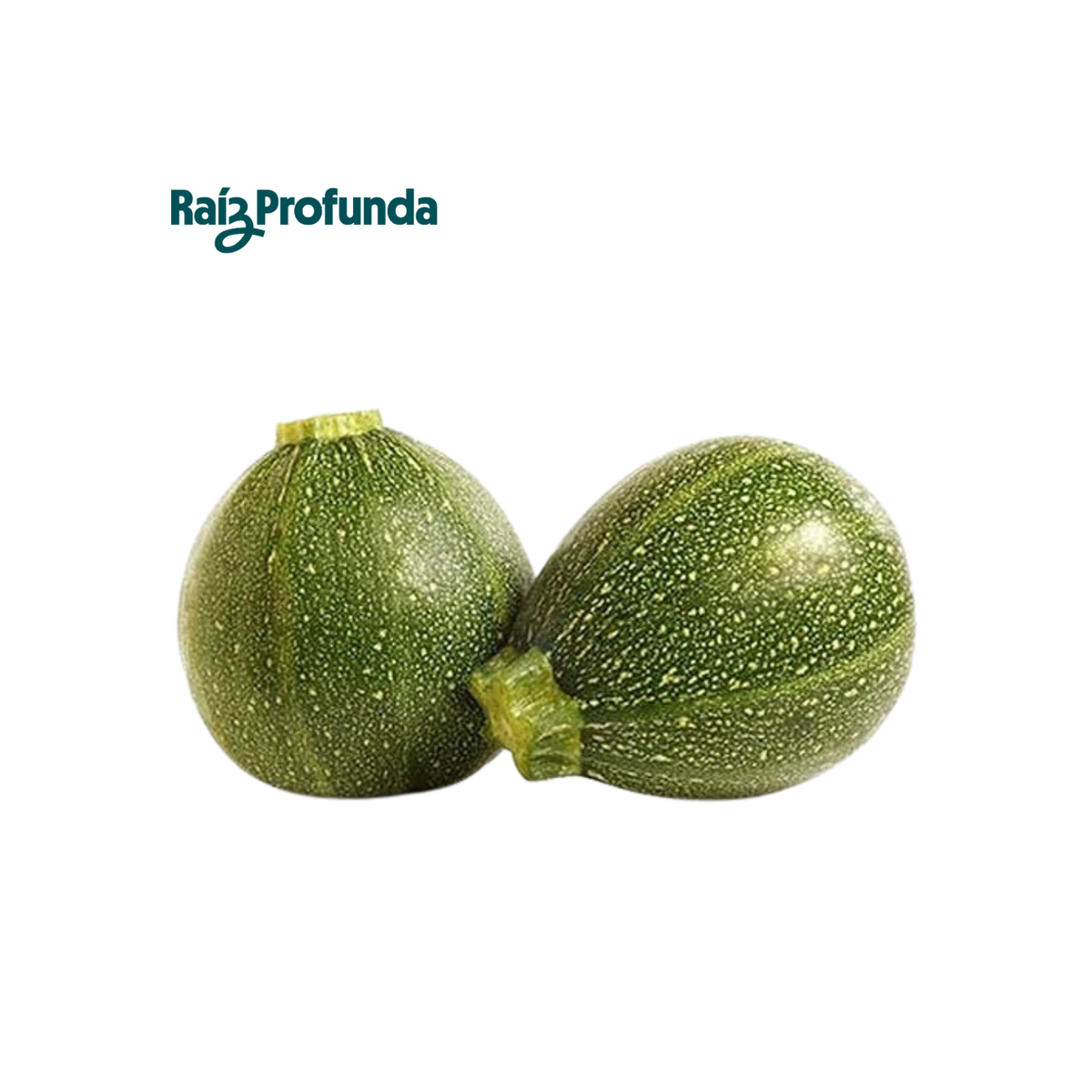 Calabaza Bola