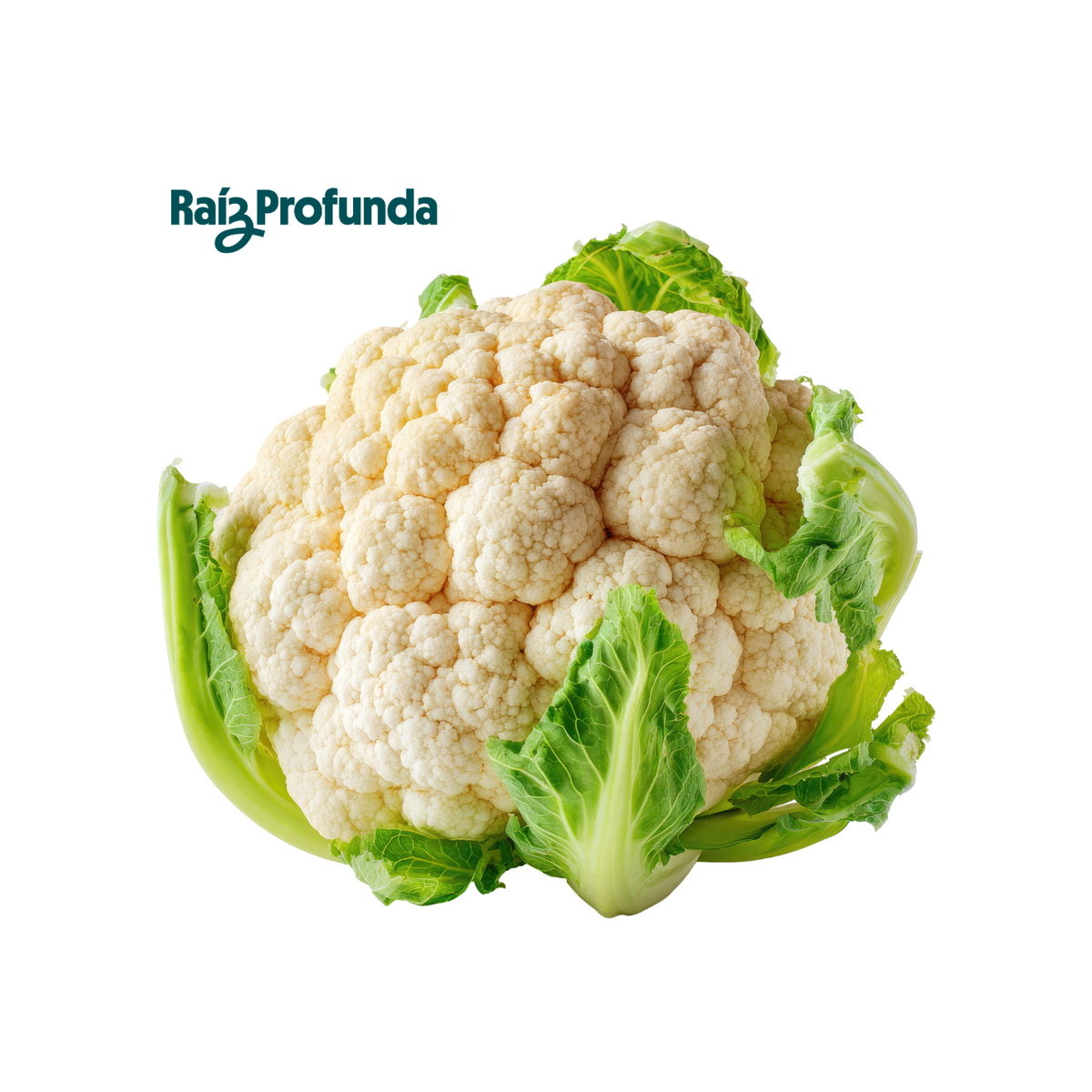 Coliflor