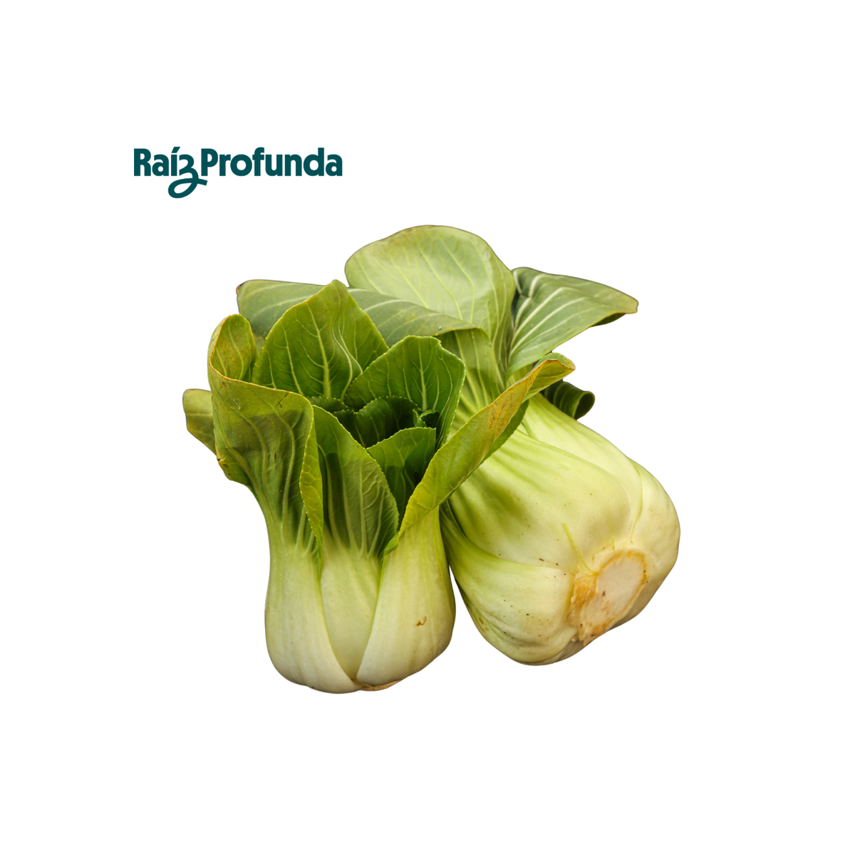Pak Choi