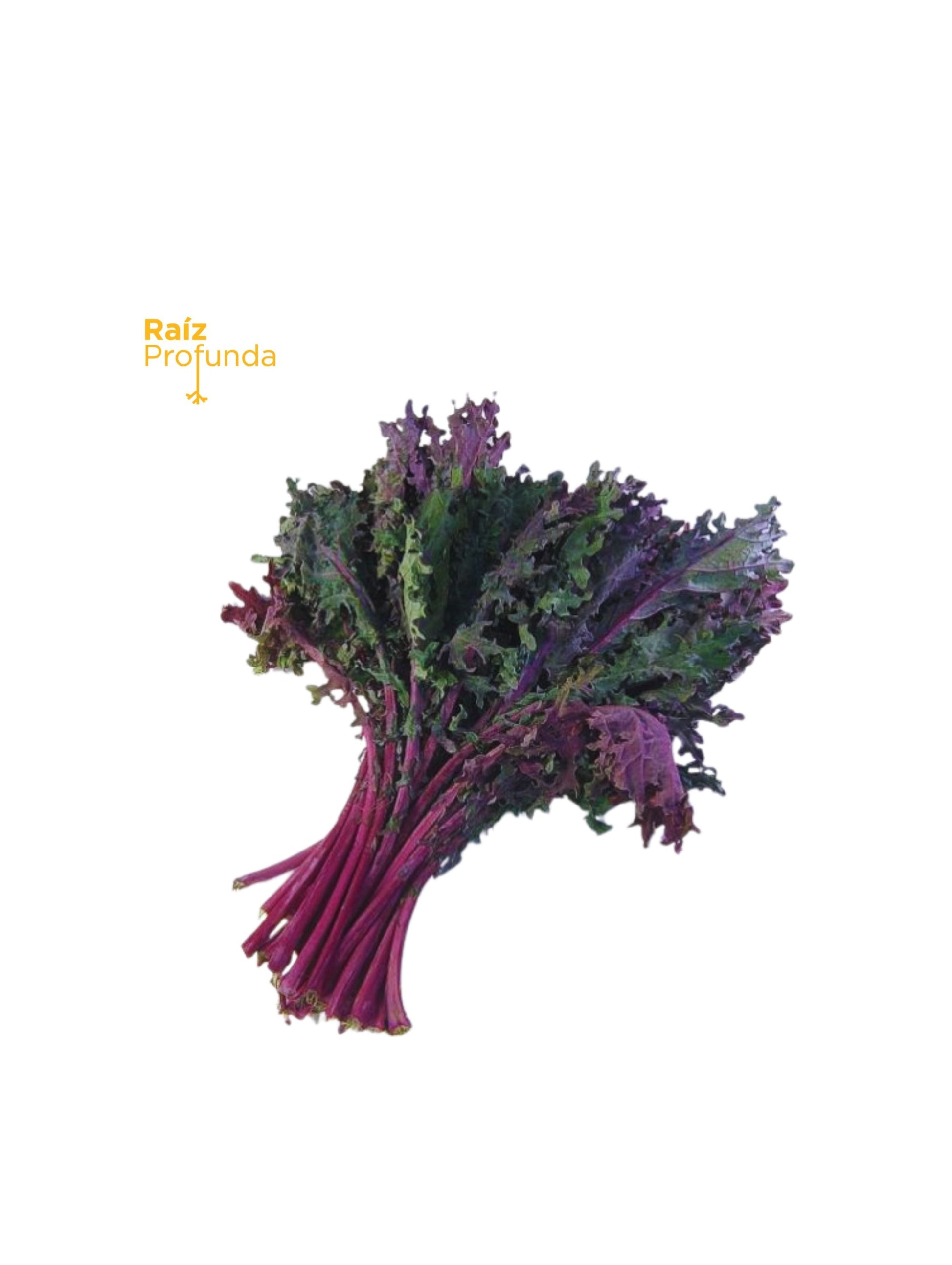 Kale Rojo