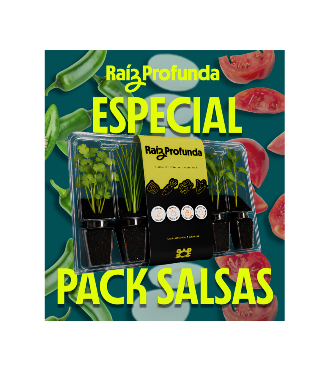 Pack Especial Salsas