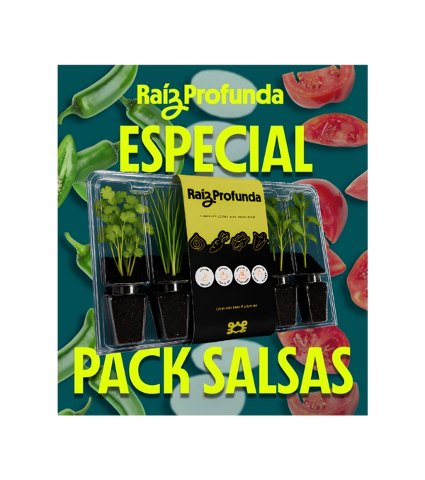 Pack Especial Salsas