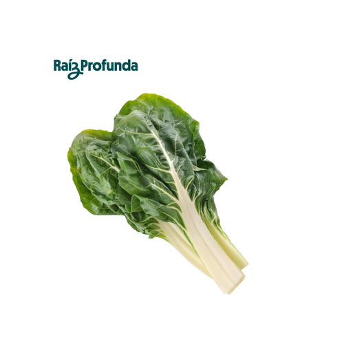 Acelga Verde