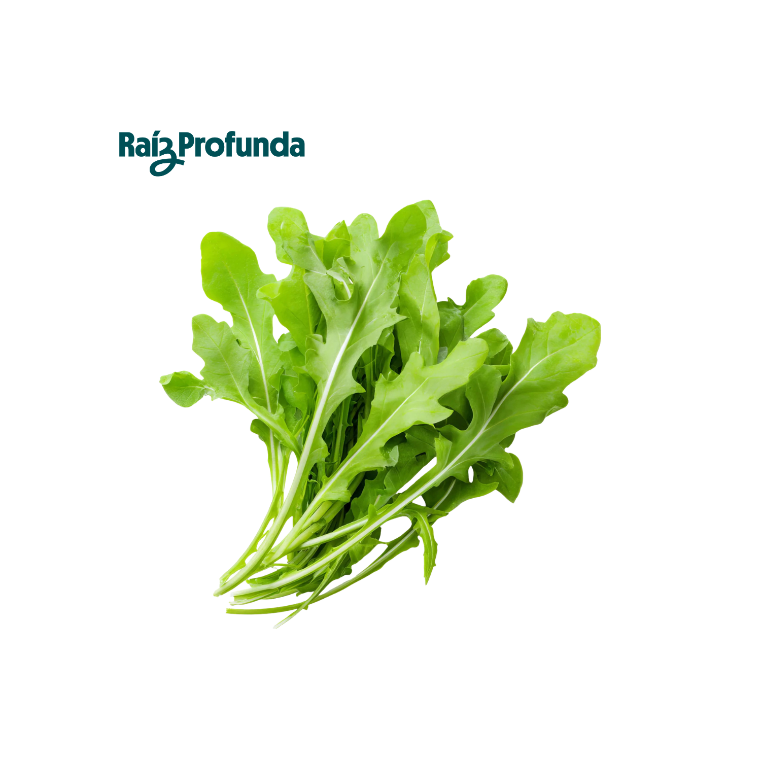 Arúgula