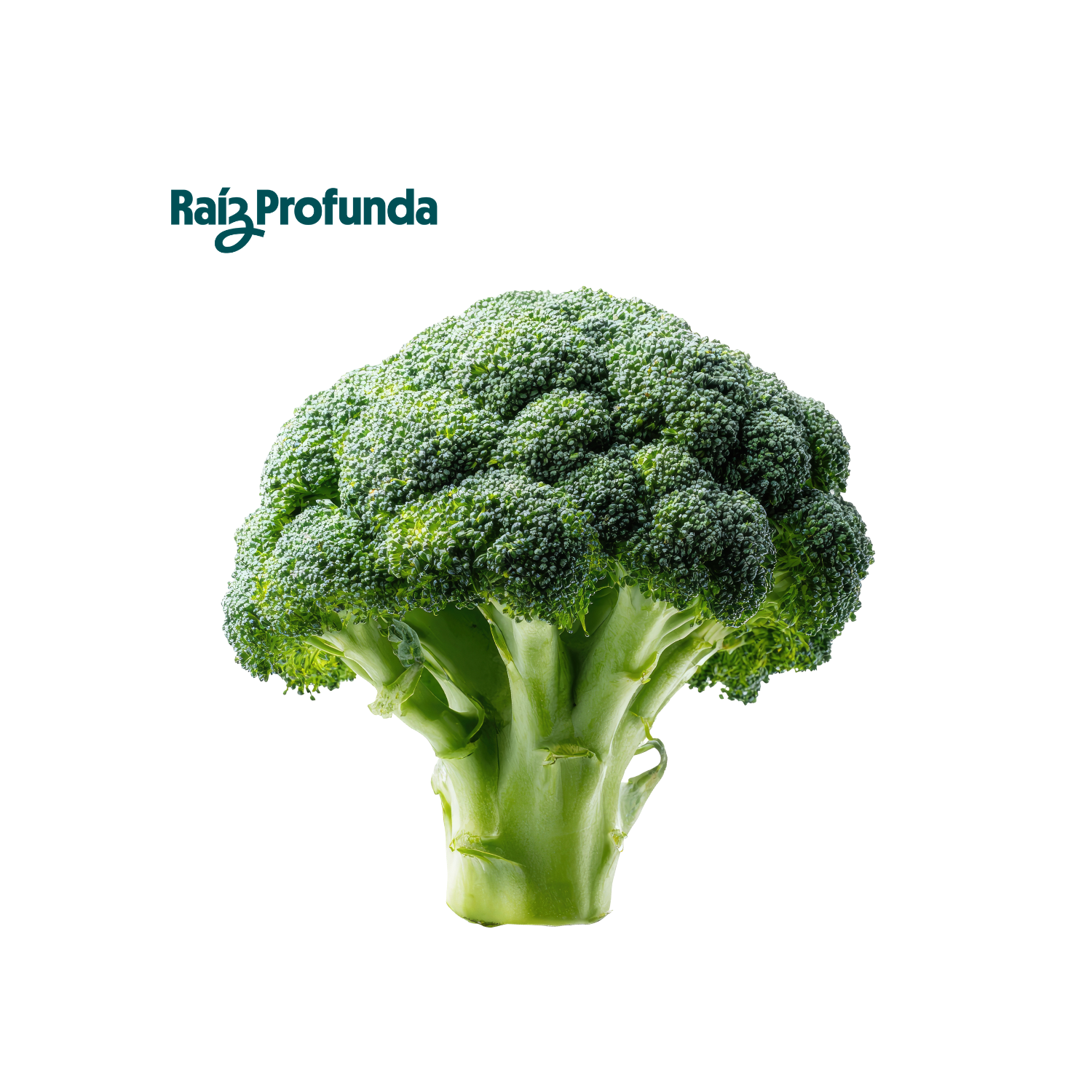 Brocoli