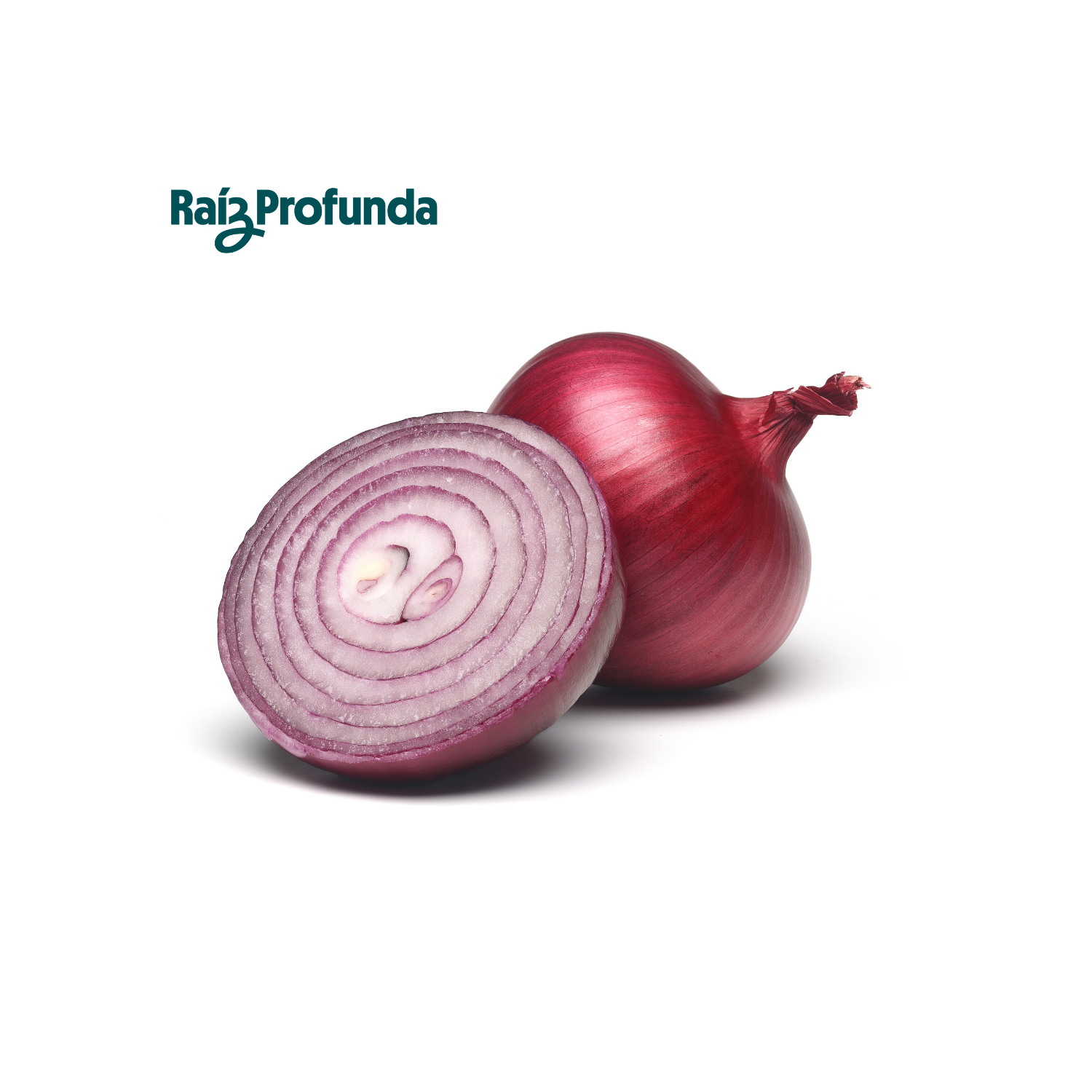 Cebolla Morada