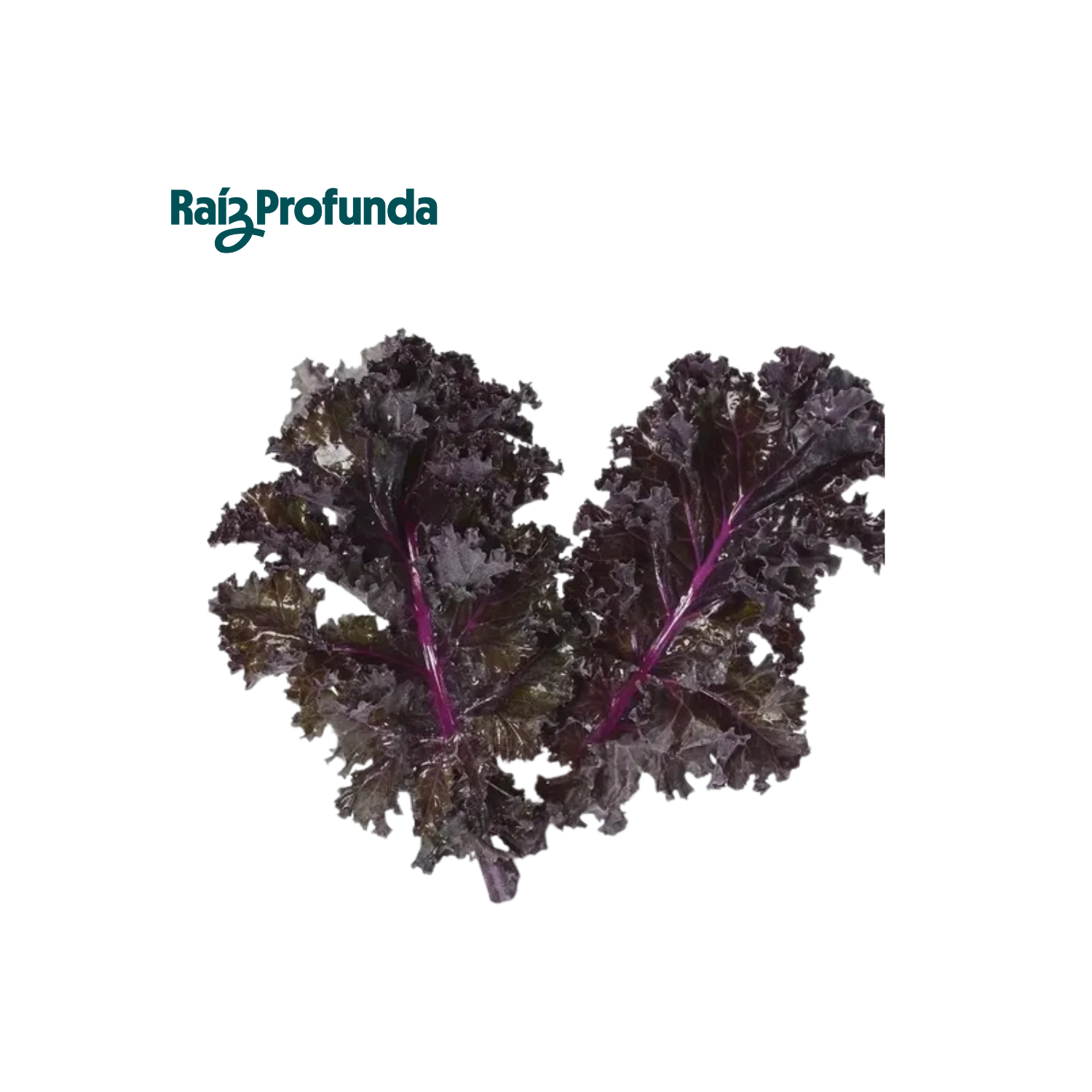 Kale Rojo