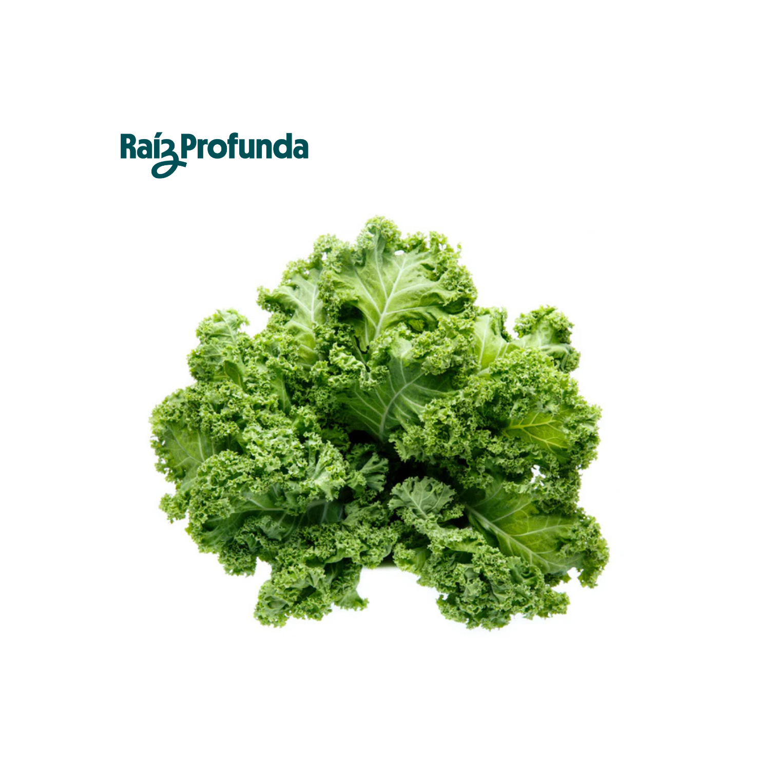 Kale Verde