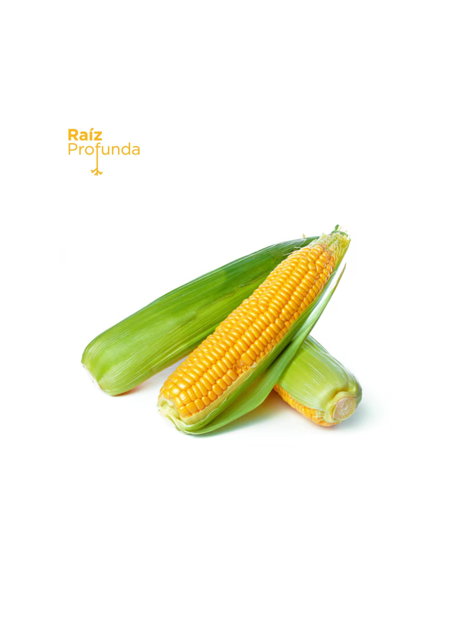 Maiz Amarillo