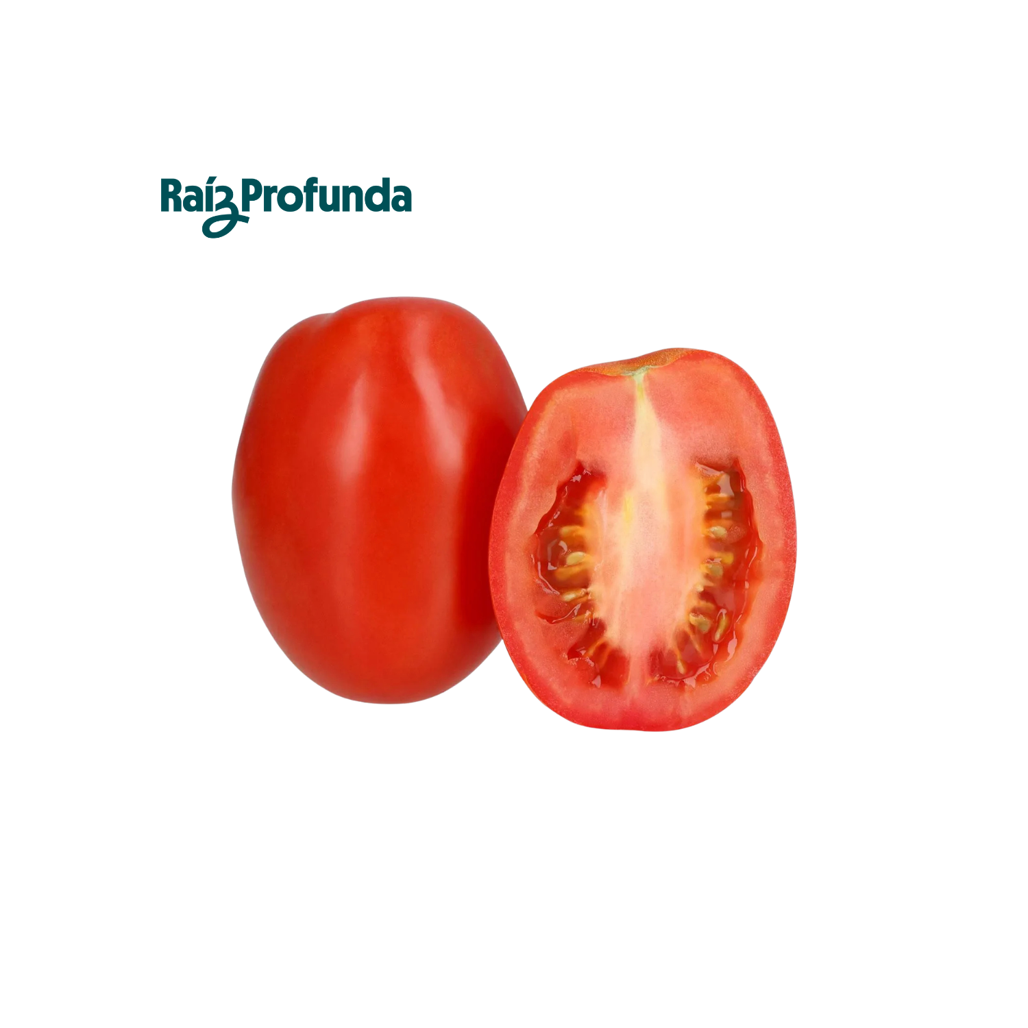 Jitomate Saladette Determinado